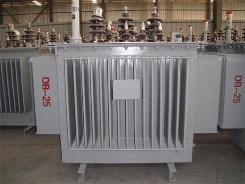 德宏S13-100KVA/10KV/0.4KV油浸式变压器